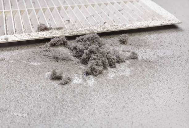 Best HVAC System Cleaning  in Fort Meade, MD